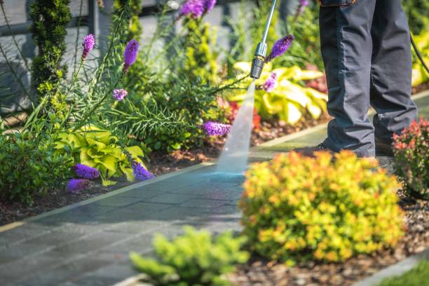 Professional  Pressure Washing Services in Waggaman, LA